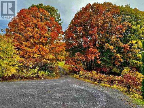 66 Storms Road, Prince Edward County (South Marysburgh), ON - Outdoor