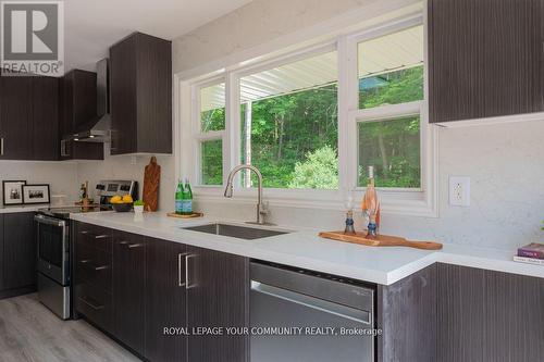 9297 Highway 118 E, Minden Hills, ON - Indoor Photo Showing Kitchen With Upgraded Kitchen