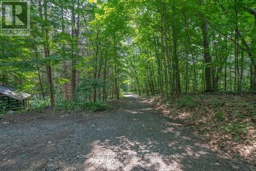 9297 Highway 118 E, Minden Hills, ON - Outdoor