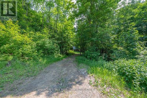 9297 Highway 118 E, Minden Hills, ON - Outdoor