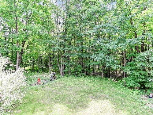 Backyard - 289 Ch. Du Lac-Bertrand, Sainte-Sophie, QC - Outdoor