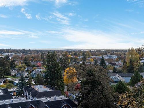 403-2910 Cook St, Victoria, BC - Outdoor With View