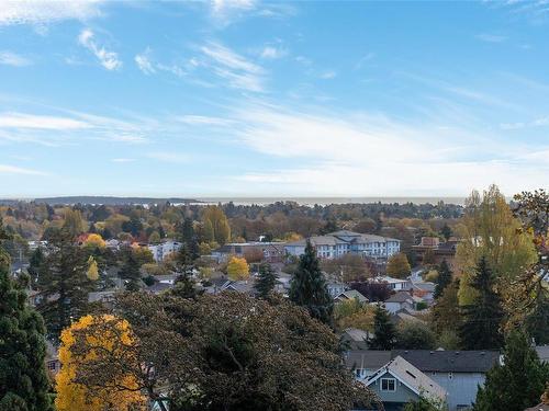 403-2910 Cook St, Victoria, BC - Outdoor With View