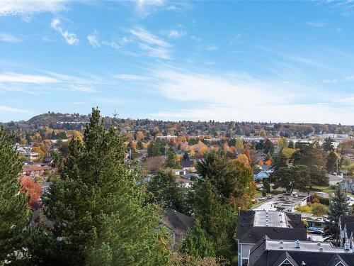 403-2910 Cook St, Victoria, BC - Outdoor With View