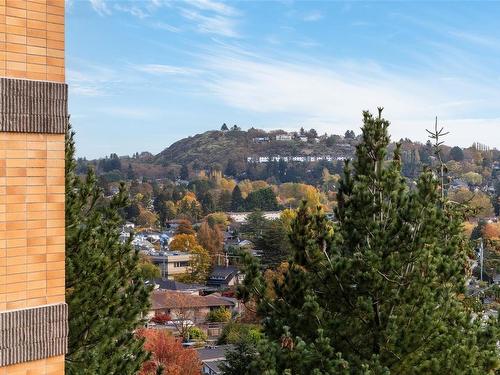 403-2910 Cook St, Victoria, BC - Outdoor With View