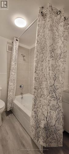 75 Montrose Avenue, Toronto, ON - Indoor Photo Showing Bathroom