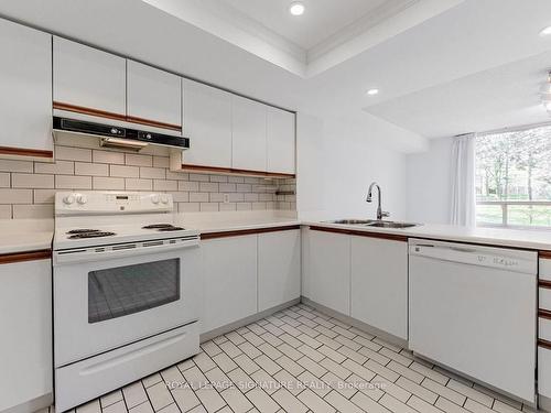 217-1200 Don Mills Rd, Toronto, ON - Indoor Photo Showing Kitchen With Double Sink