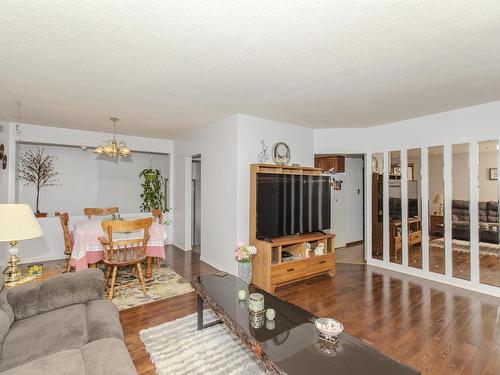 369 Royal Street, Thunder Bay, ON - Indoor Photo Showing Living Room