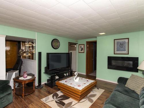 369 Royal Street, Thunder Bay, ON - Indoor Photo Showing Living Room With Fireplace