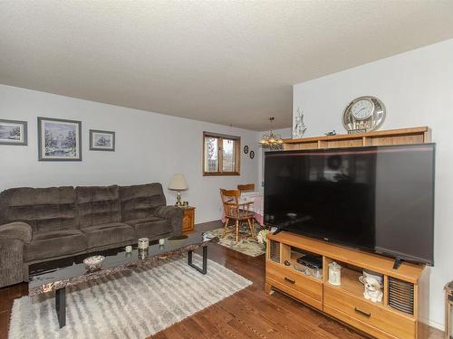 369 Royal Street, Thunder Bay, ON - Indoor Photo Showing Living Room