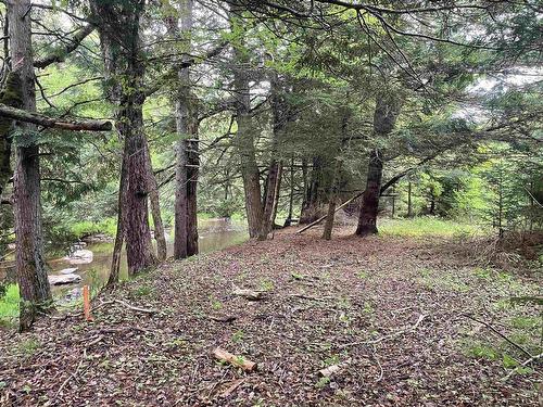 14-1 1786 Antrim Road, Carrolls Corner, NS 