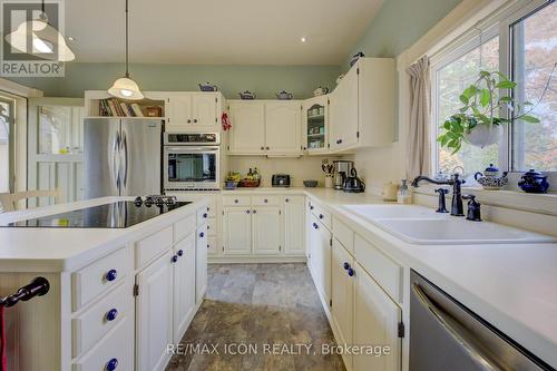 22 Harvey Street, Cambridge, ON - Indoor Photo Showing Kitchen With Double Sink