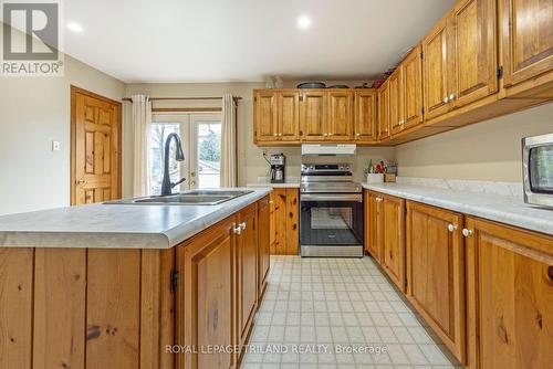 17 Balaclava Street, St. Thomas, ON - Indoor Photo Showing Kitchen With Double Sink