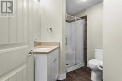 Lower level 3-piece bathroom with a stand up shower - 