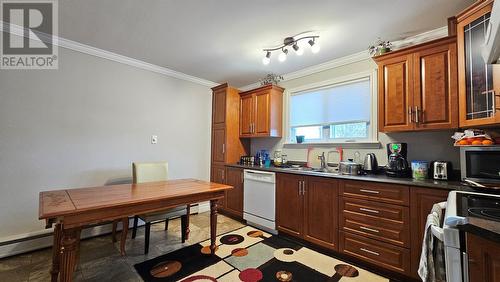 16 London Road, St. John'S, NL - Indoor Photo Showing Kitchen