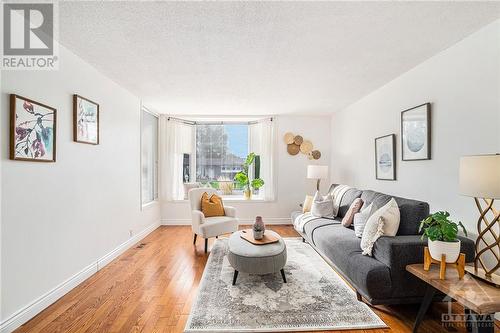 1 Roche Place, Ottawa, ON - Indoor Photo Showing Living Room