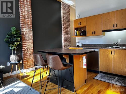 297 Dupuis Street Unit#107, Ottawa, ON - Indoor Photo Showing Kitchen With Double Sink