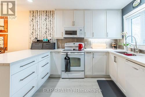 554 Oxbow Crescent, Collingwood, ON - Indoor Photo Showing Kitchen With Double Sink