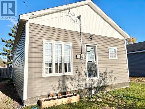 3 Rewa Avenue, Bishop'S Falls, NL - Outdoor