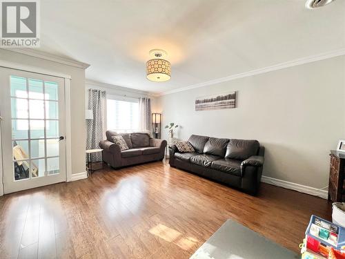 3 Rewa Avenue, Bishop'S Falls, NL - Indoor Photo Showing Living Room