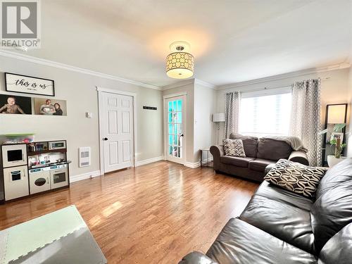 3 Rewa Avenue, Bishop'S Falls, NL - Indoor Photo Showing Living Room