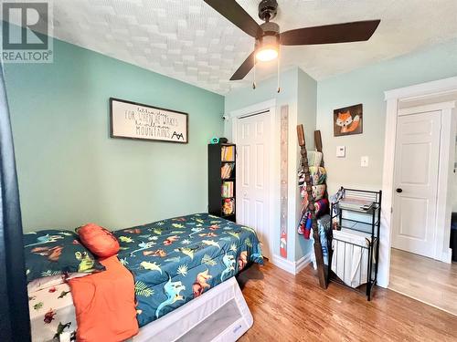 3 Rewa Avenue, Bishop'S Falls, NL - Indoor Photo Showing Bedroom