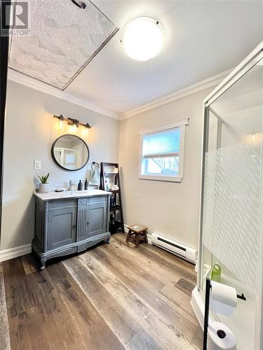 3 Rewa Avenue, Bishop'S Falls, NL - Indoor Photo Showing Bathroom