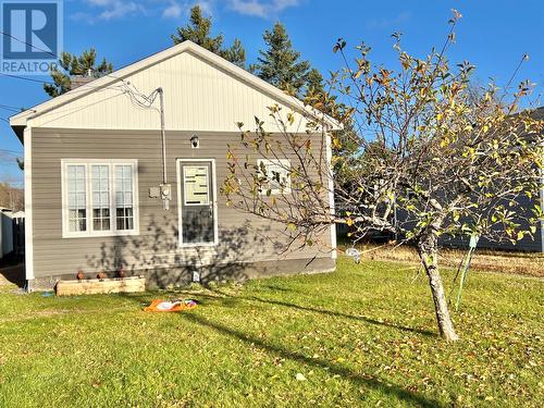 3 Rewa Avenue, Bishop'S Falls, NL - Outdoor