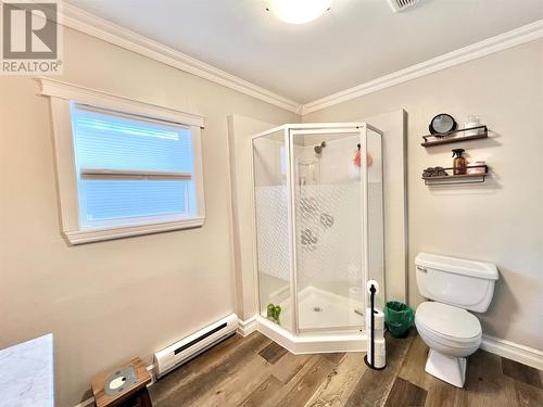 3 Rewa Avenue, Bishop'S Falls, NL - Indoor Photo Showing Bathroom