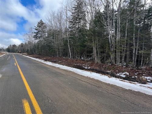 Lot 1 And 2 Plan 4632 Route 645, Harvey, NB 