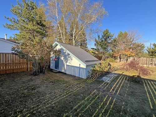 40 Clergue Street, Kakabeka Falls, ON - Outdoor