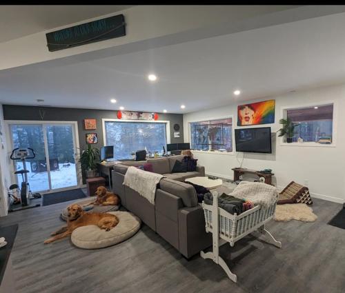 789 Shuswap River Drive, Lumby, BC - Indoor Photo Showing Living Room