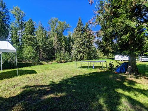 789 Shuswap River Drive, Lumby, BC - Outdoor