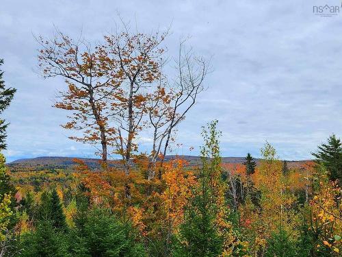 Lot 3B Highway 4, Telford, NS 