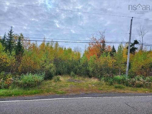 Lot 3B Highway 4, Telford, NS 