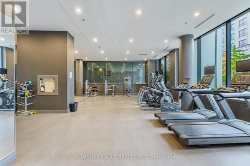 222 - 18 Rean Drive, Toronto, ON - Indoor Photo Showing Gym Room