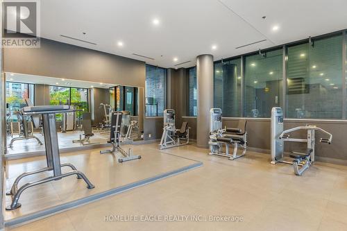 222 - 18 Rean Drive, Toronto, ON - Indoor Photo Showing Gym Room