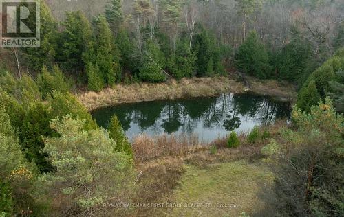 1108 Sandy Hook Road, Kawartha Lakes, ON - Outdoor With View