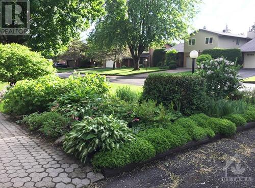 Lovely mature landscaping front and back - 40 Byrd Crescent, Kanata, ON - Outdoor