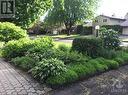 Lovely mature landscaping front and back - 40 Byrd Crescent, Kanata, ON  - Outdoor 