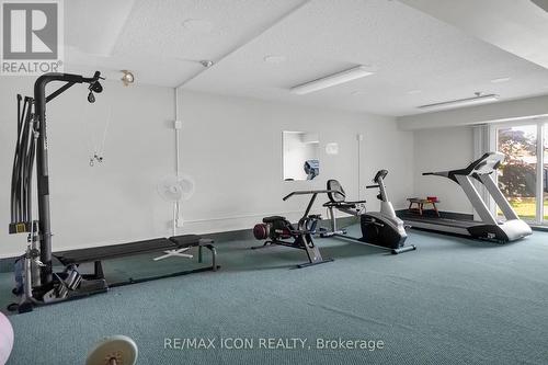 206 - 440 Wellington Street, St. Thomas, ON - Indoor Photo Showing Gym Room