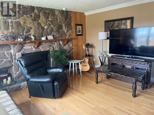 3 Octagon Heights, Paradise, NL - Indoor Photo Showing Living Room With Fireplace