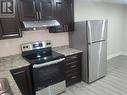 Bsmt - 10 Lockheed Crescent, Brampton, ON  - Indoor Photo Showing Kitchen With Stainless Steel Kitchen 