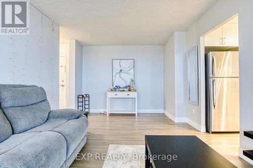 407 - 215 Glenridge Avenue, St. Catharines, ON - Indoor Photo Showing Living Room