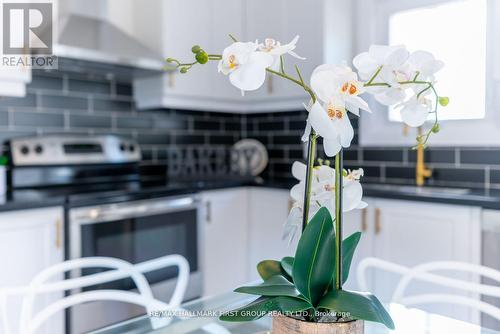 53 Queenston Street, St. Catharines, ON -  Photo Showing Kitchen