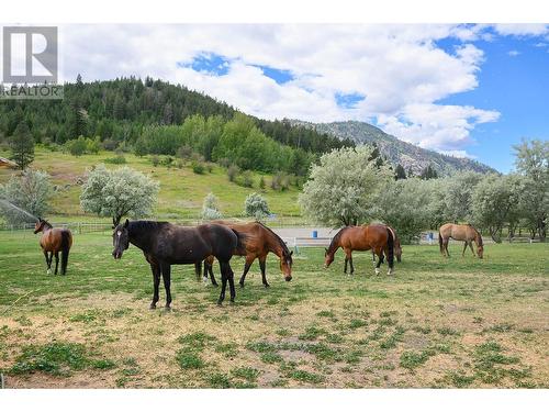 6877 Barnhartvale Road, Kamloops, BC - Outdoor With View