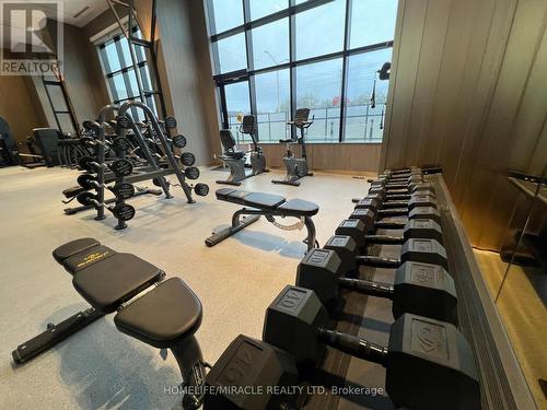 202 - 395 Dundas Street W, Oakville, ON - Indoor Photo Showing Gym Room