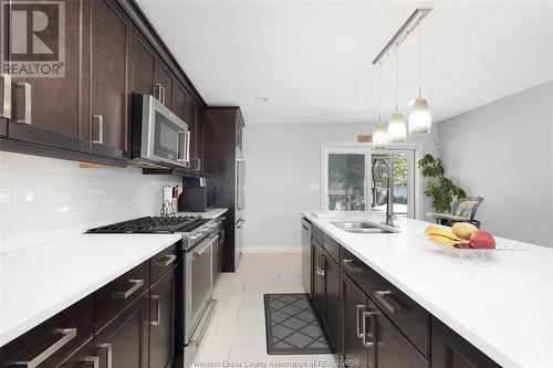 615 Donlon, Lasalle, ON - Indoor Photo Showing Kitchen With Double Sink With Upgraded Kitchen