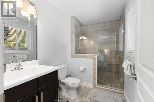 615 Donlon, Lasalle, ON - Indoor Photo Showing Bathroom