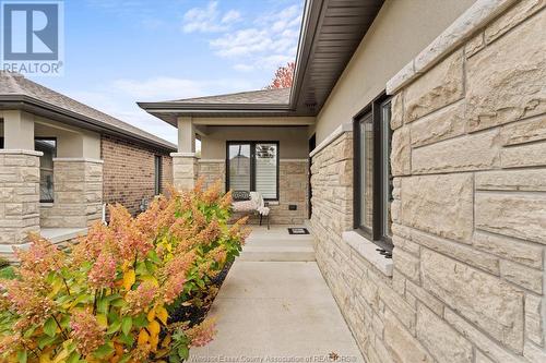 13 Holly Street, Kingsville, ON - Outdoor